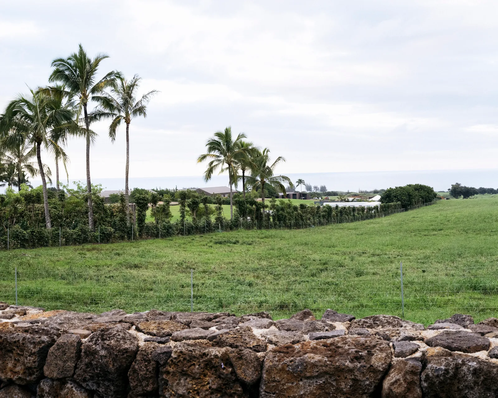 Mark Zuckerberg's Hawaiian Estate